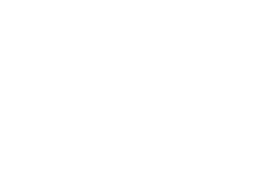 WINNER NATIONAL BOARD OF REVIEW TOP 5 DOCUMENTARY